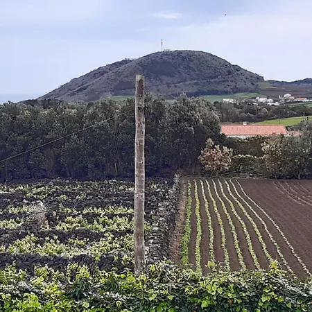 O Pomar Do Gasparinho Santa Cruz da Graciosa