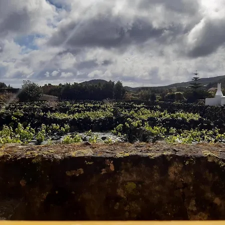 Holiday home O Pomar Do Gasparinho Santa Cruz da Graciosa