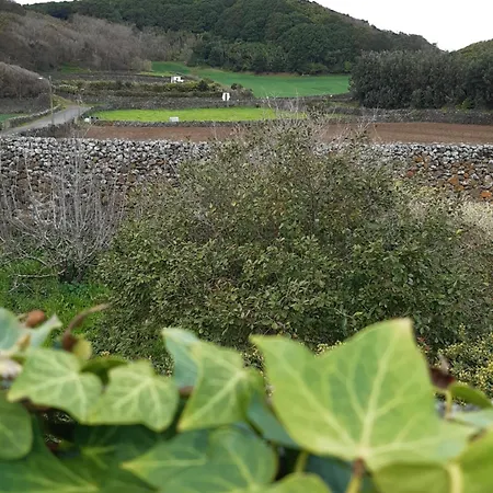 O Pomar Do Gasparinho *